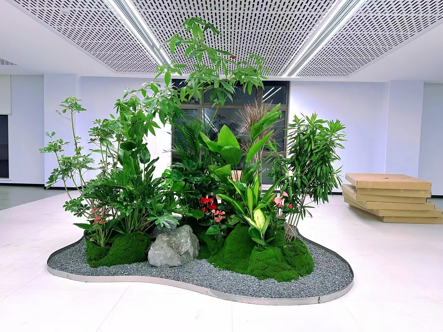 优质服务的镇海盆景租赁，你值得拥有！