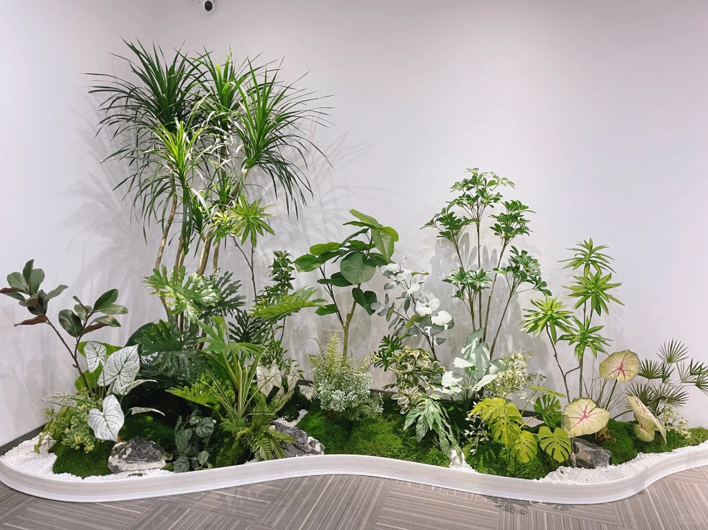 优质服务的镇海盆景租赁，你值得拥有！